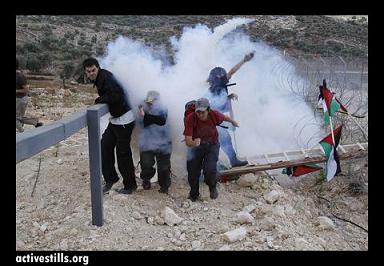 palestina active stills