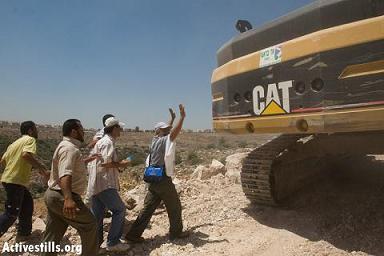 palestina active stills