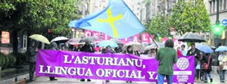 manifestación oficialidá 2012